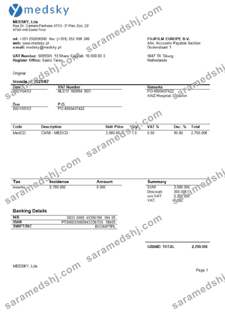 Portugal Medsky Lda company invoice